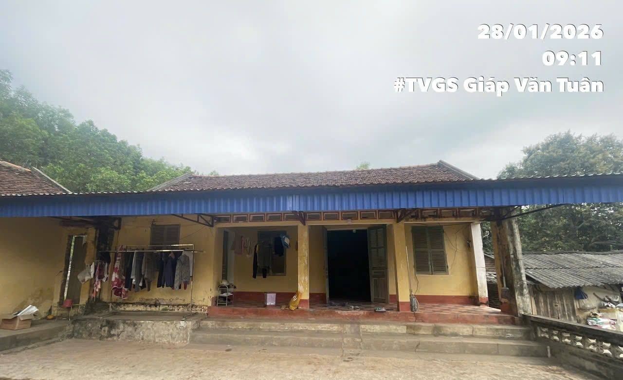 618786713 898465169809024 8960885924279392818 N